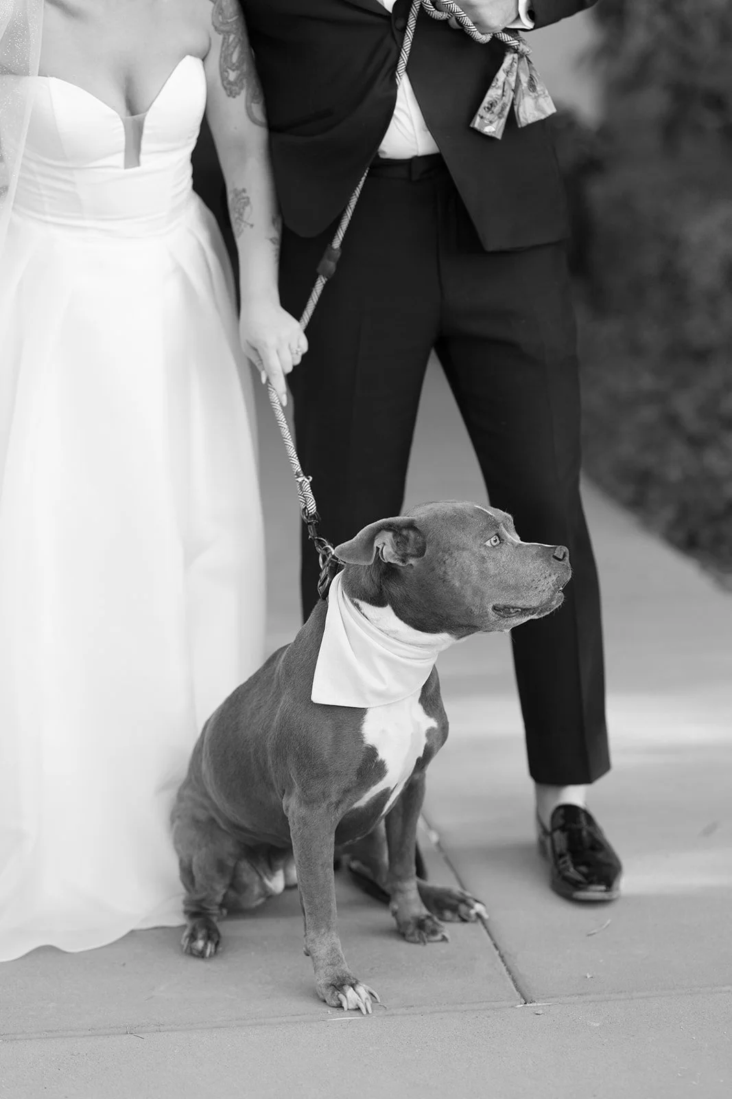 scottsdale arizona wedding el chorro