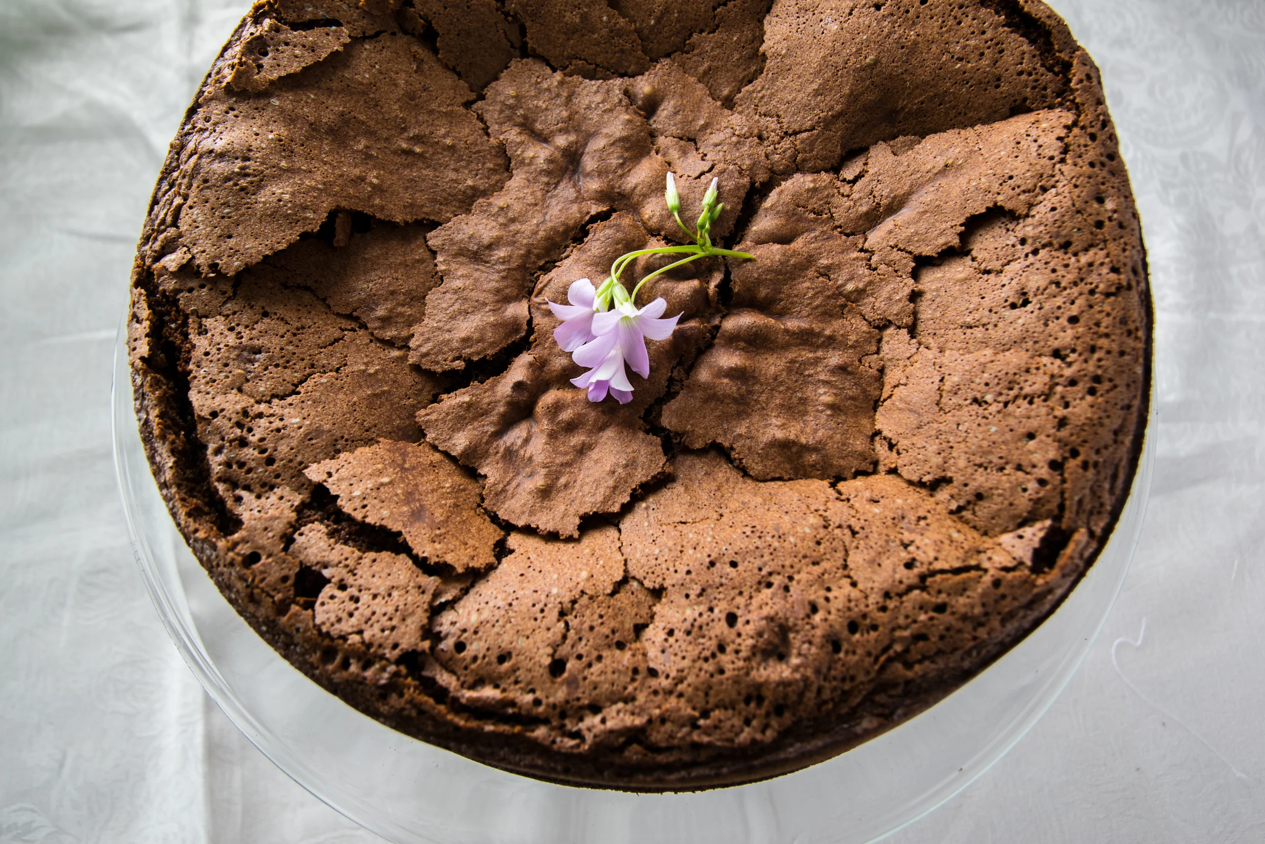 Paleo Chocolate Torte