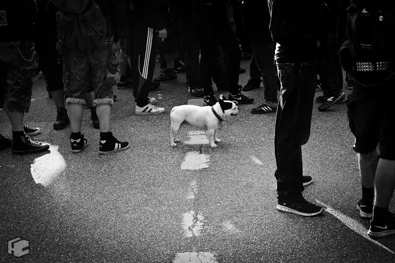 1-mai-demo-14-von-51.jpg