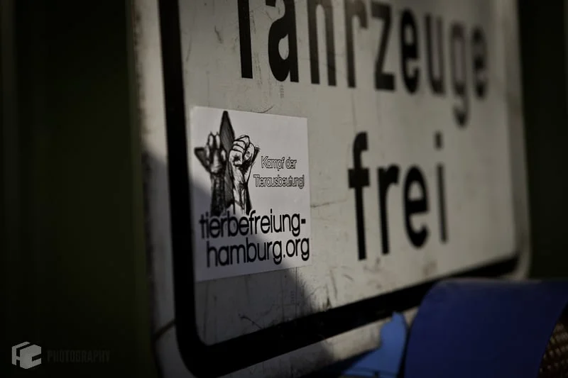 1-mai-demo-17-von-51.jpg
