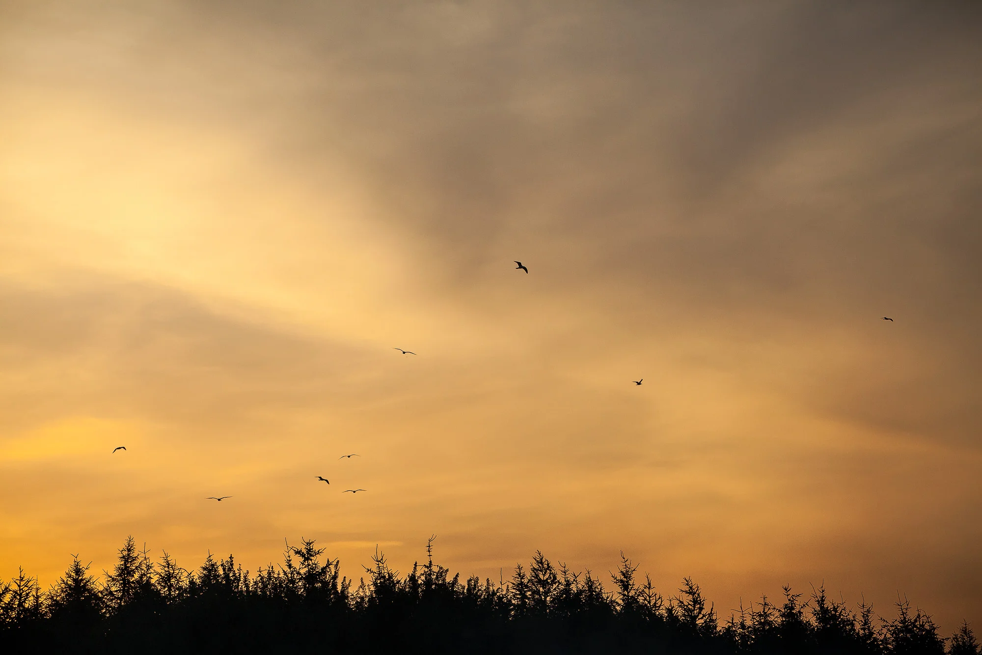 Sunset (2 von 1).jpg
