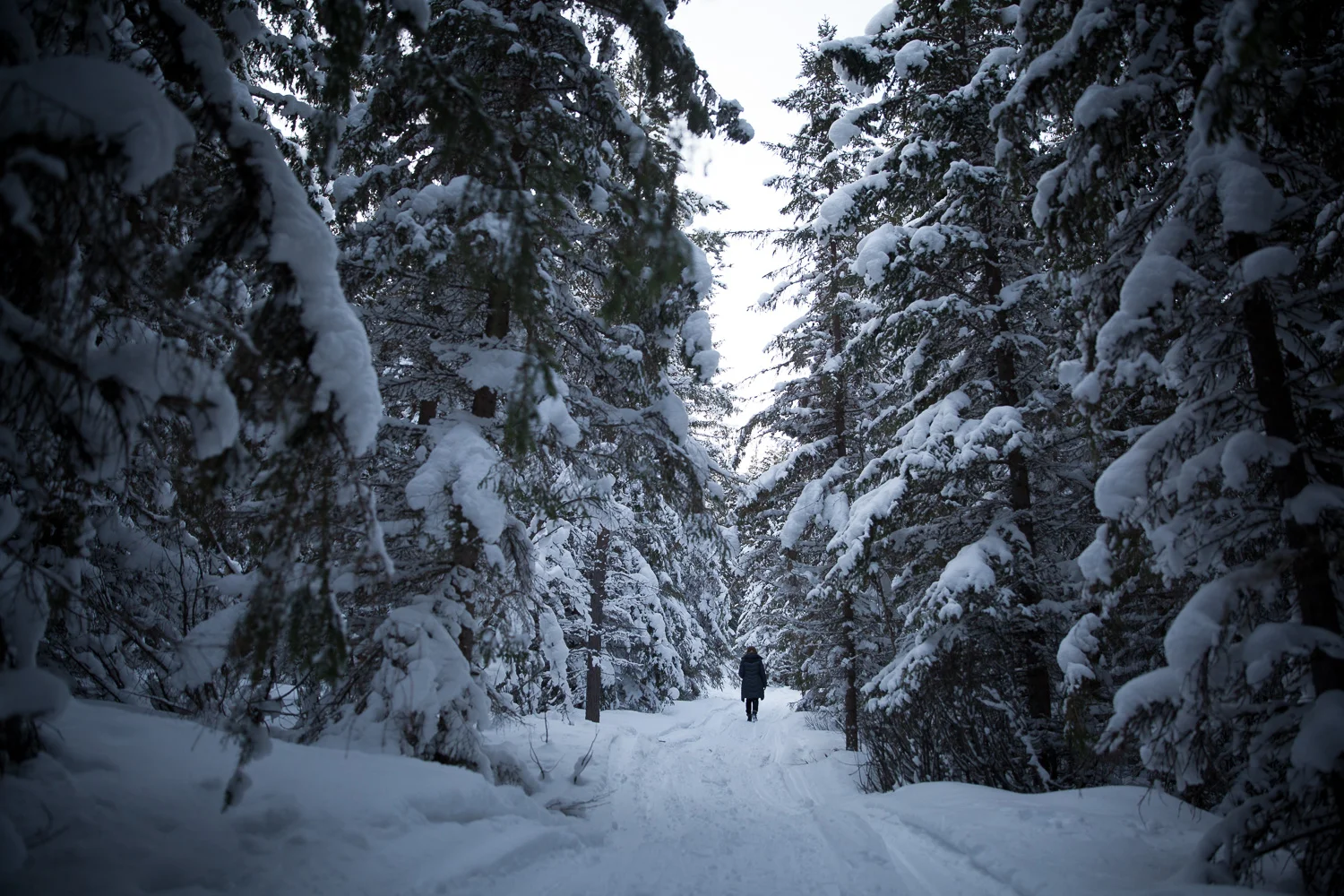 Norway Blog (45 von 119).jpg