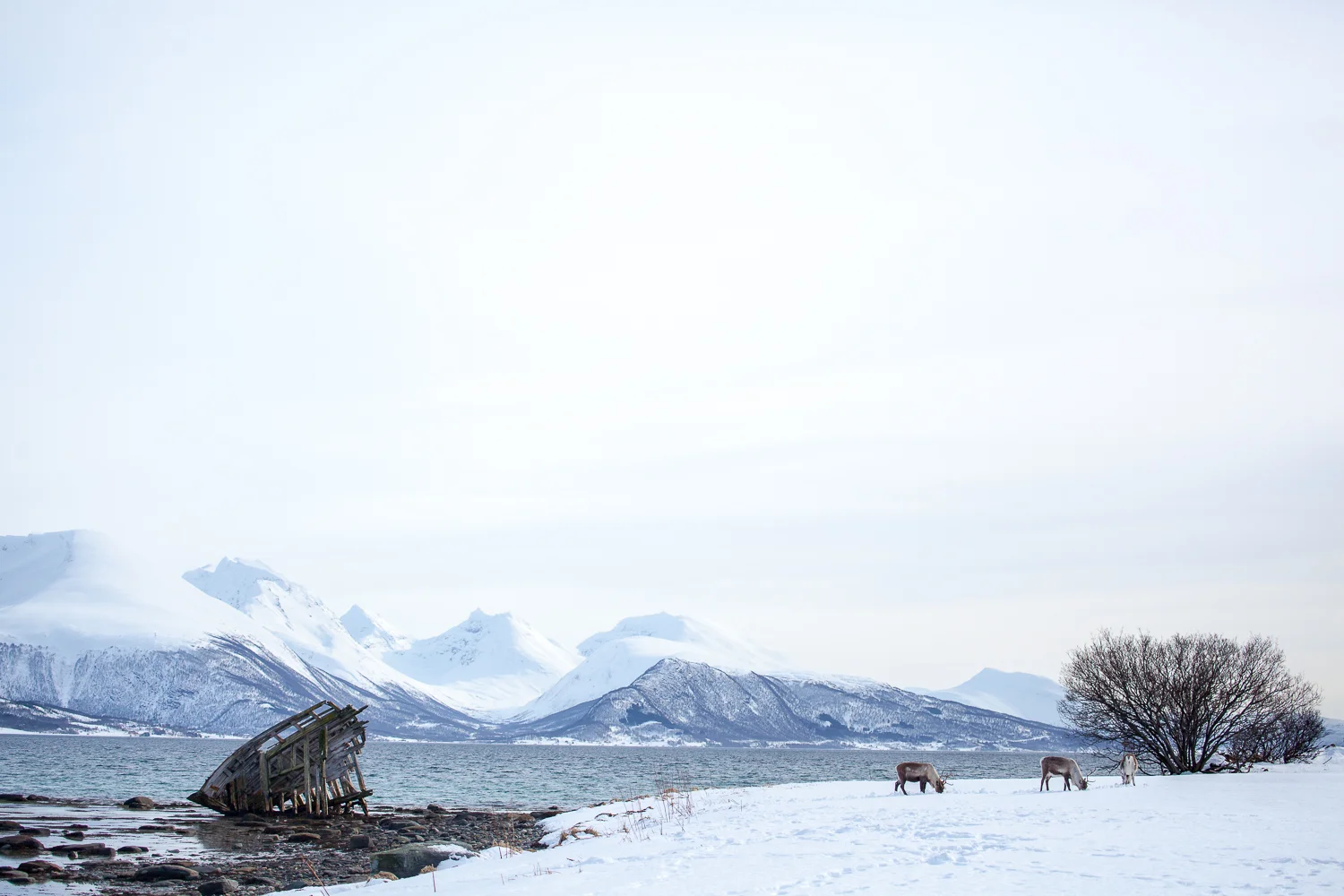Norway Blog (75 von 119).jpg