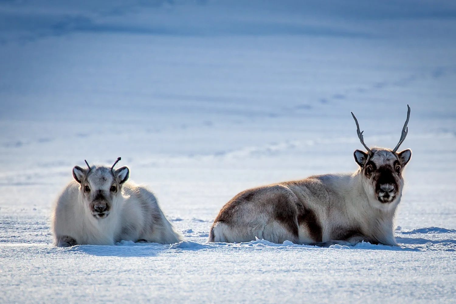 Norway Blog (104 von 119).jpg