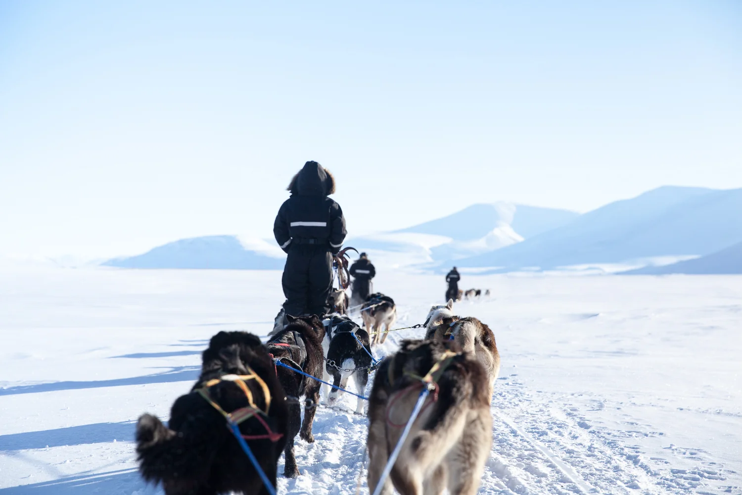 Norway Blog (112 von 119).jpg