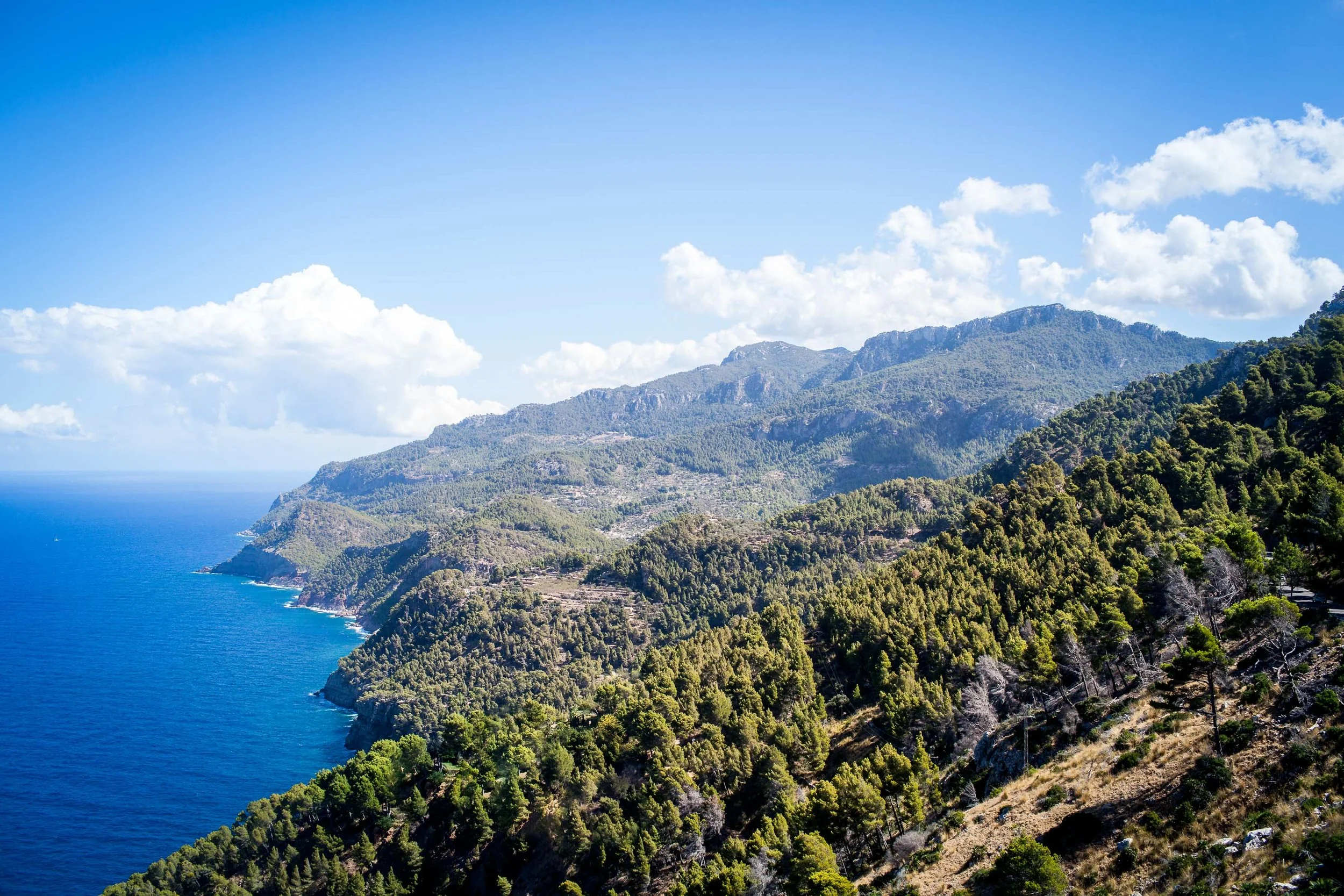 Mallorca-31.jpg