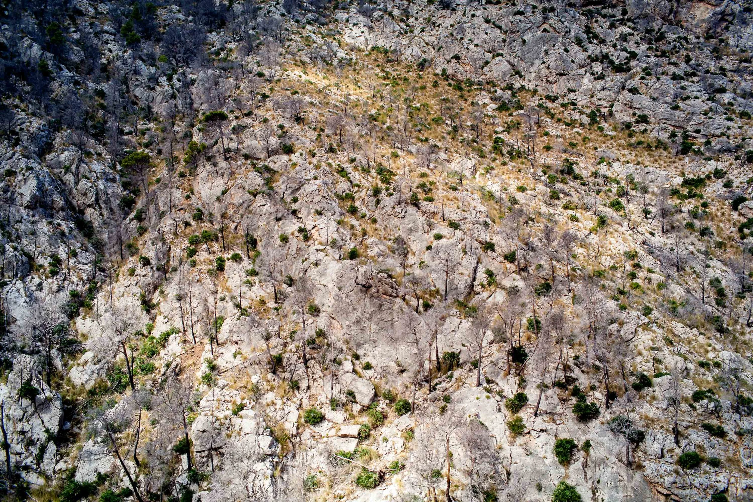Mallorca-24.jpg