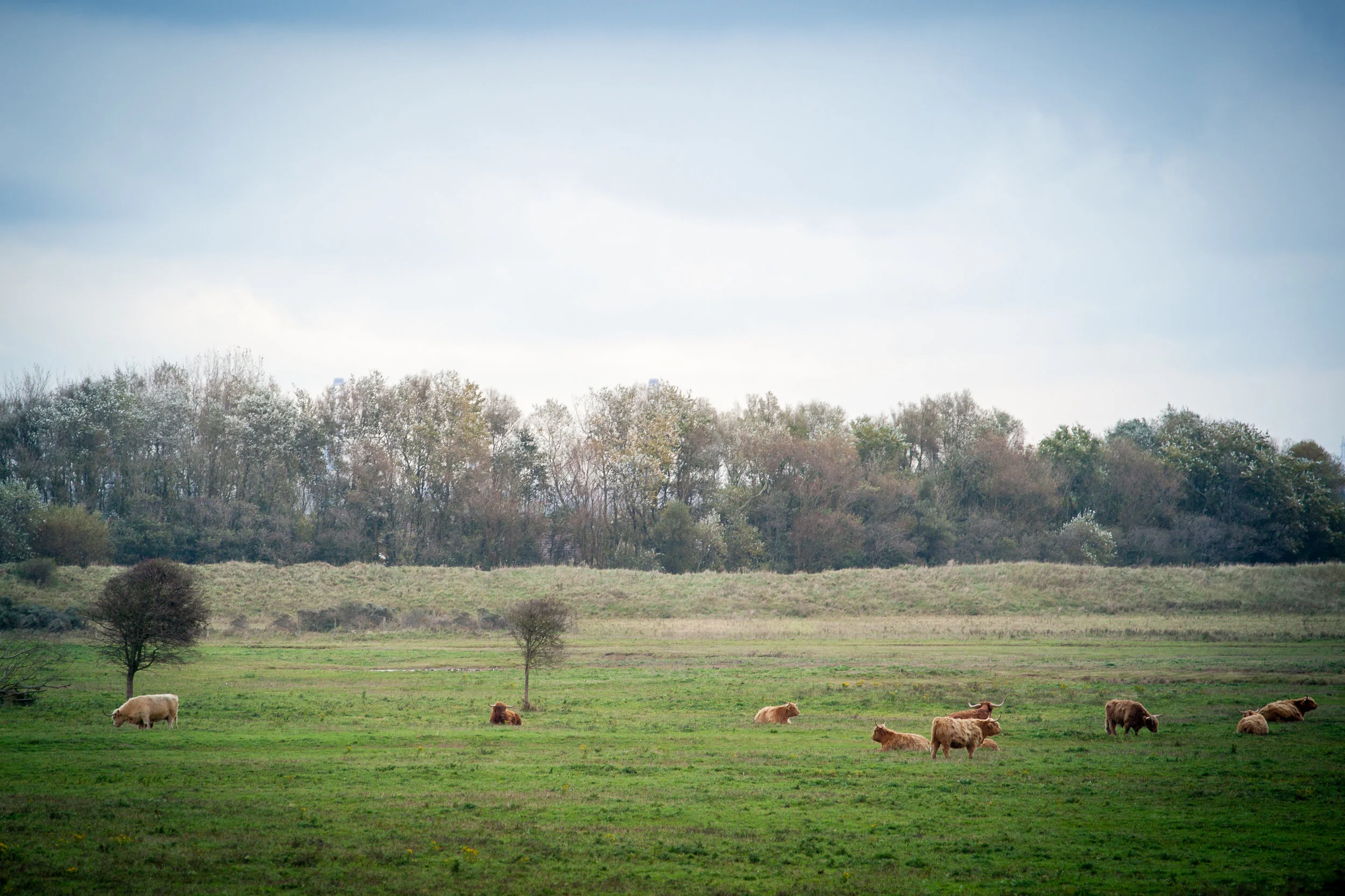 Normandie-24.jpg