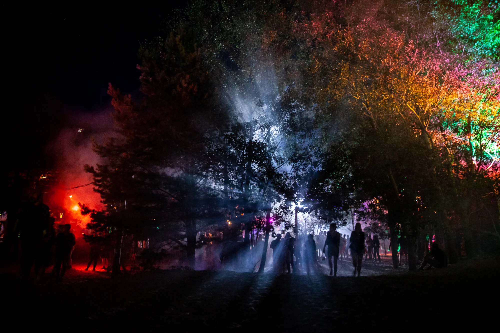 Feel Festival-23.jpg
