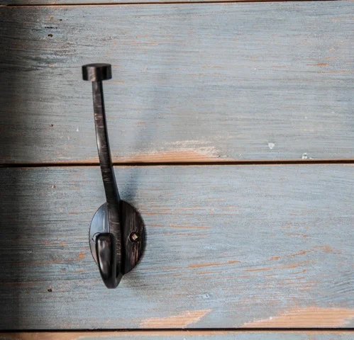 le chat bleu-0065.jpeg