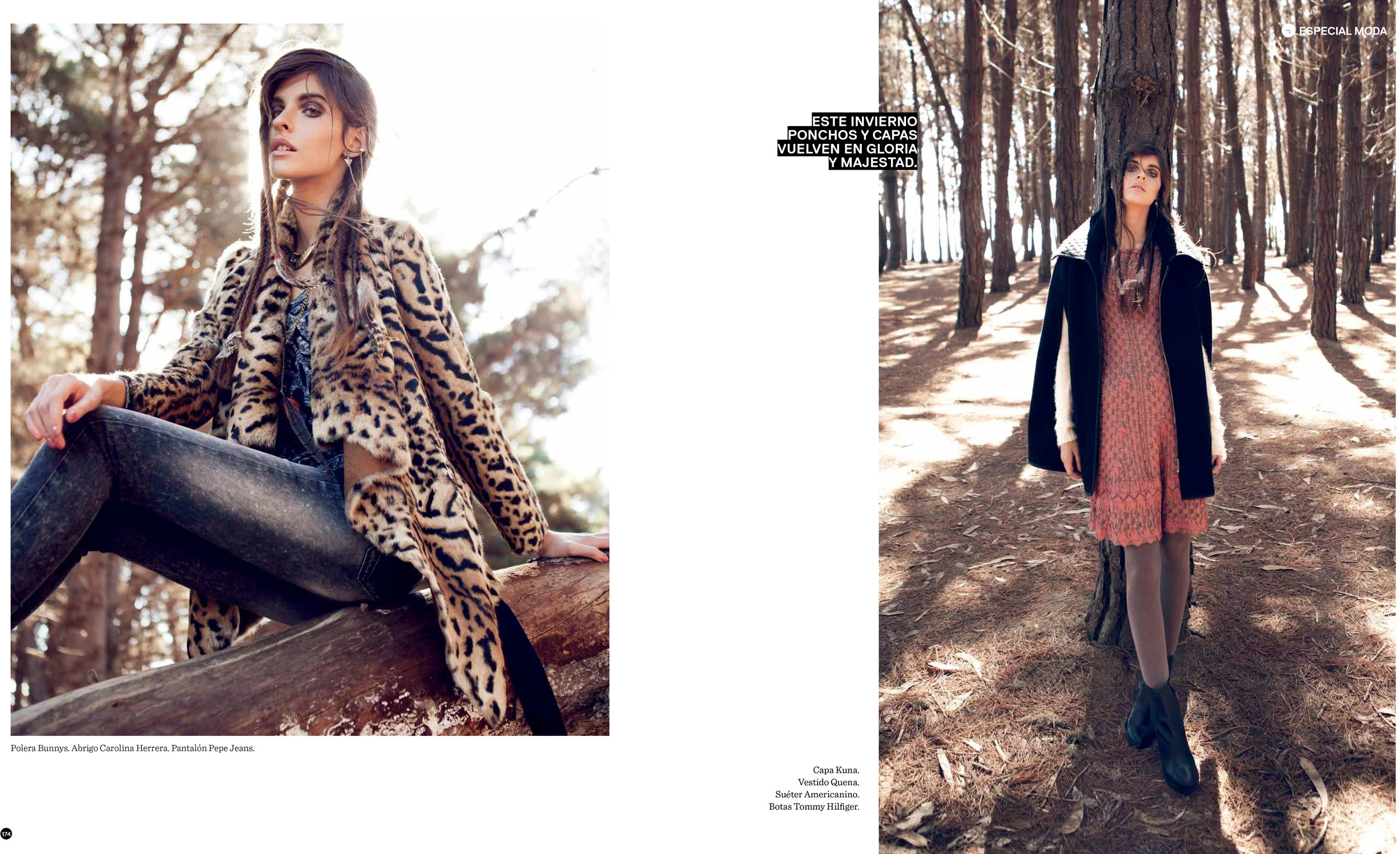 animal_print2.jpg