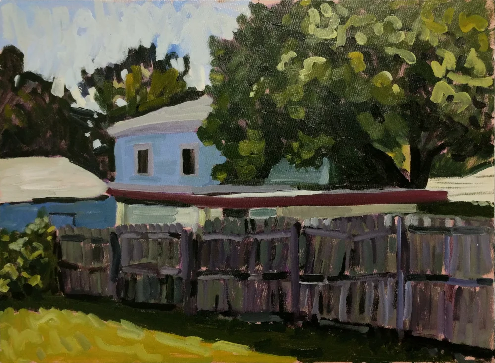 The Back Yard
