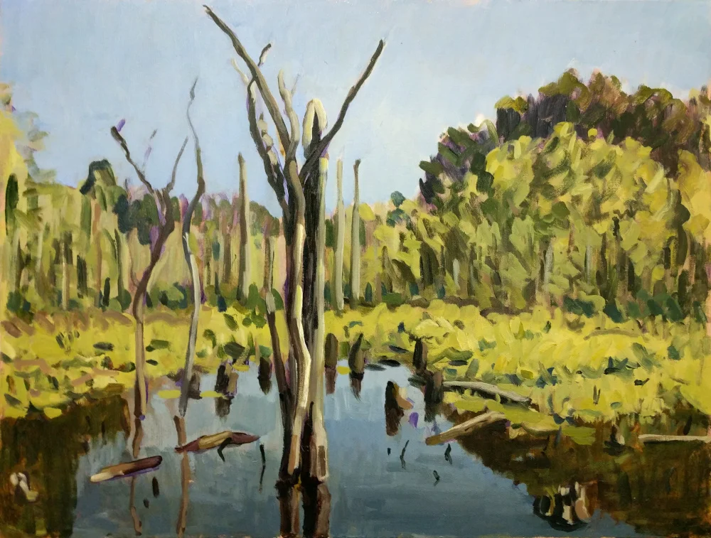 Swamp, Fee Farm SC