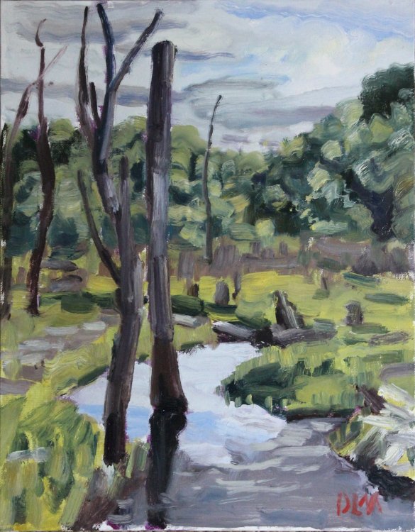 Fee Swamp, May