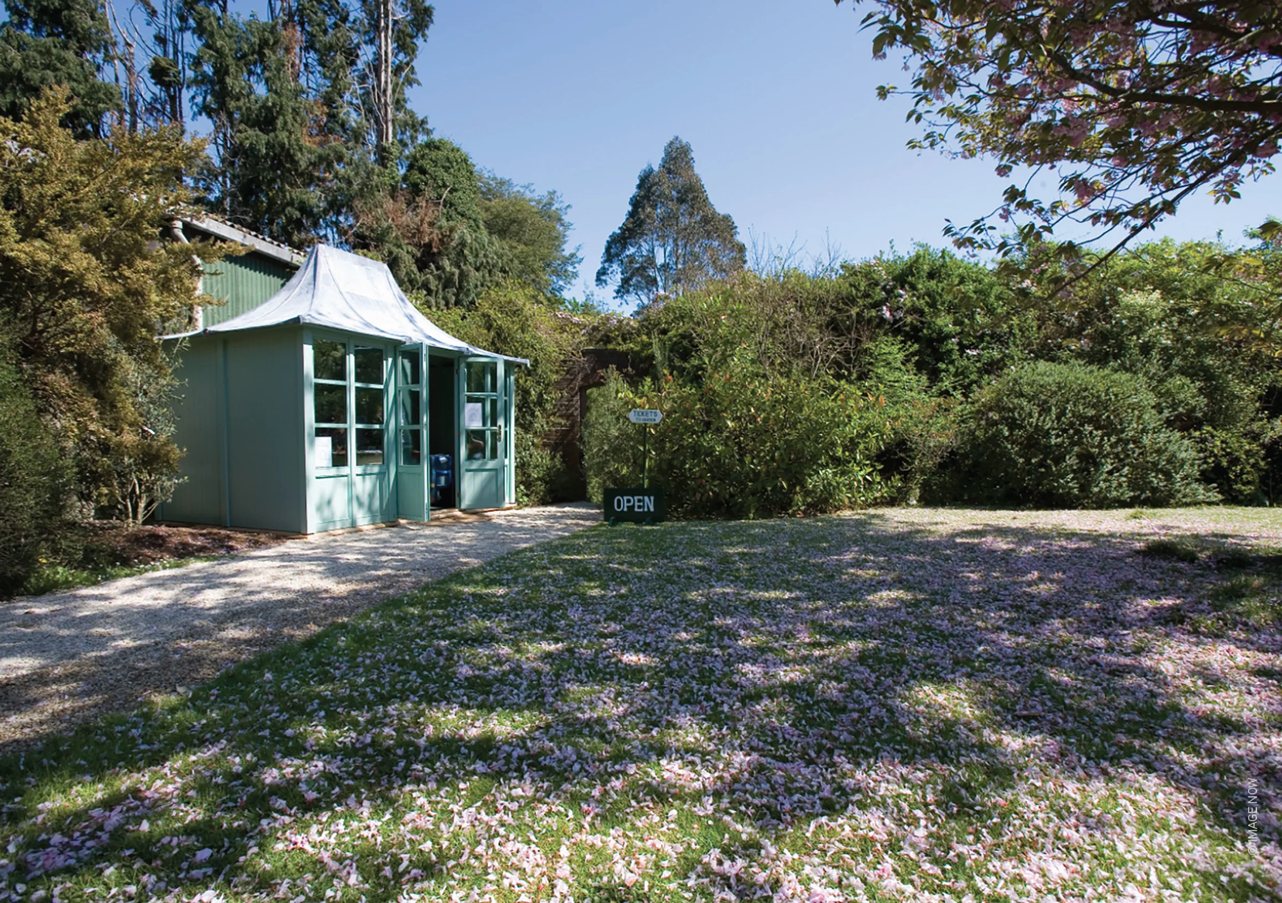 ©-avoca-mount-usher-garden.jpg