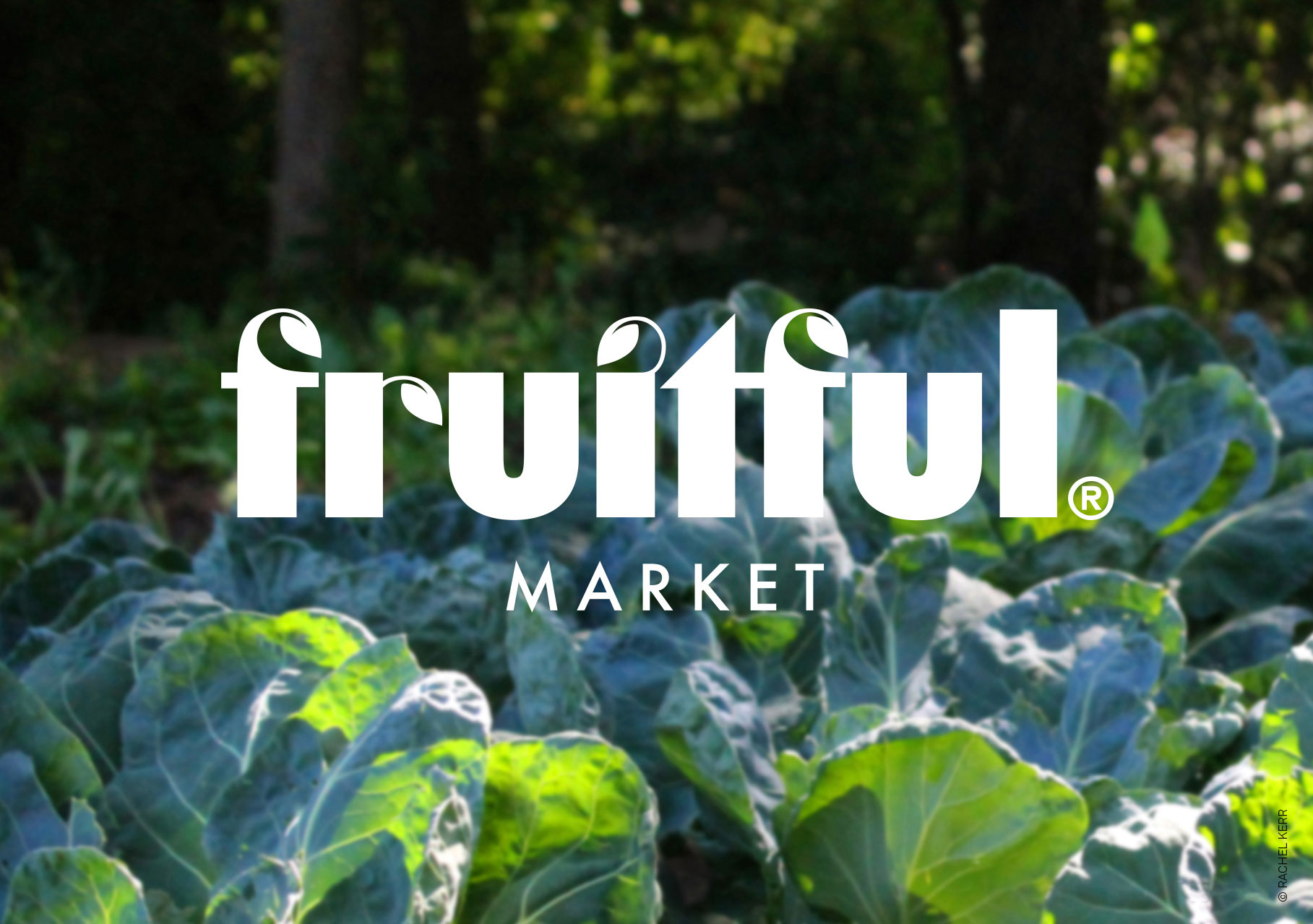 ©-fruitful-logo.jpg