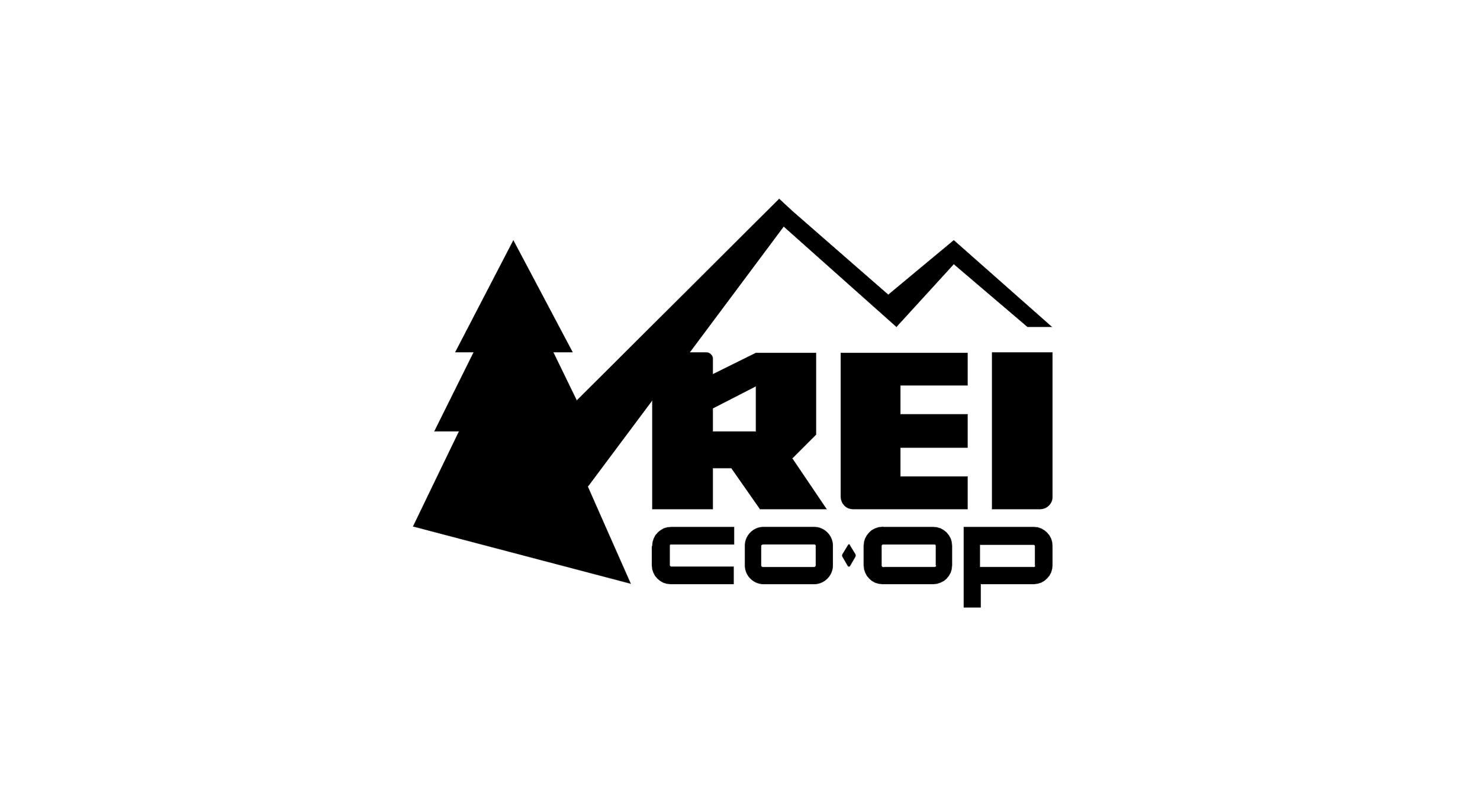 REI logo.png