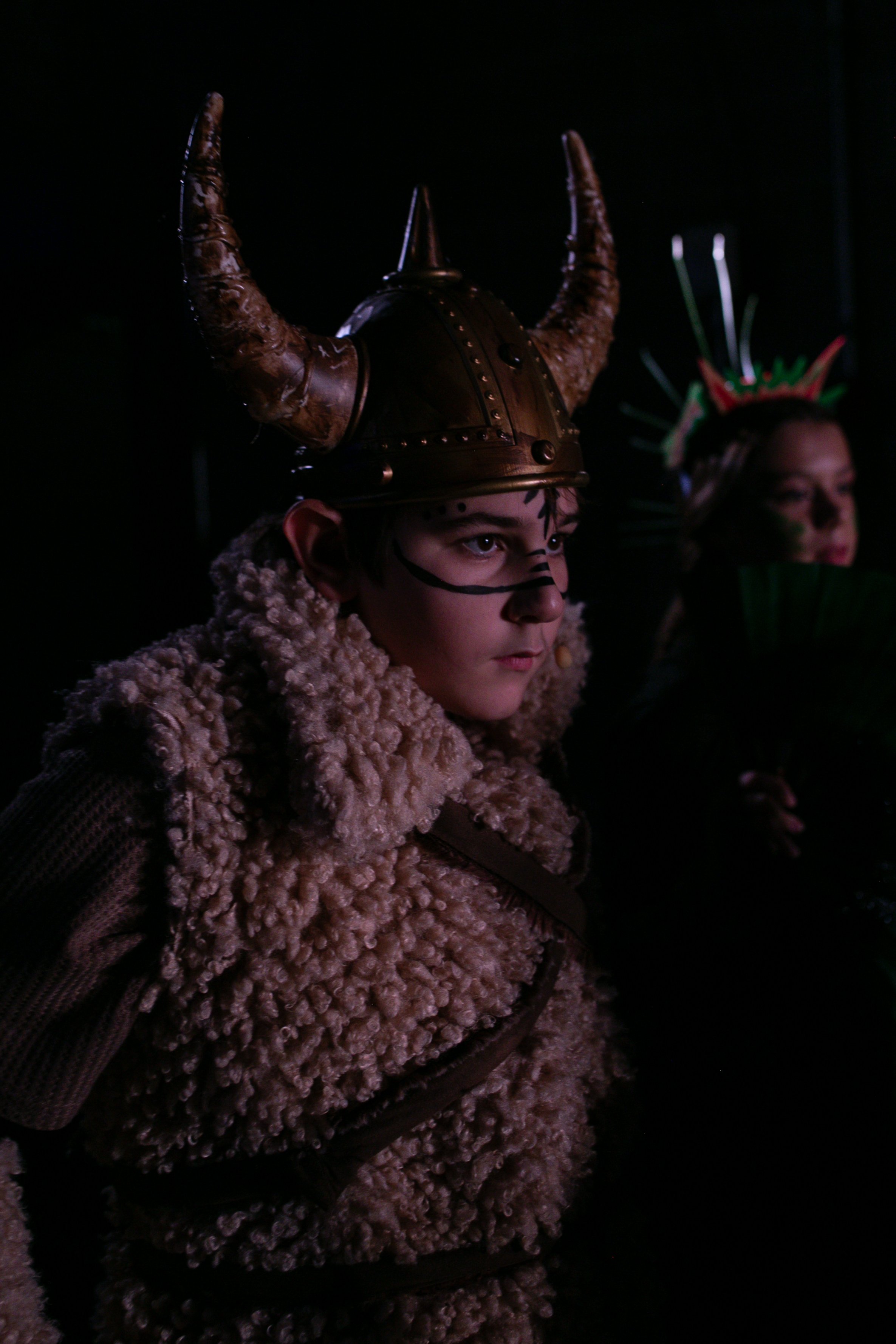 annarobersondesign.com-TPAC-How to Train Your Dragon 2026-000203.jpg