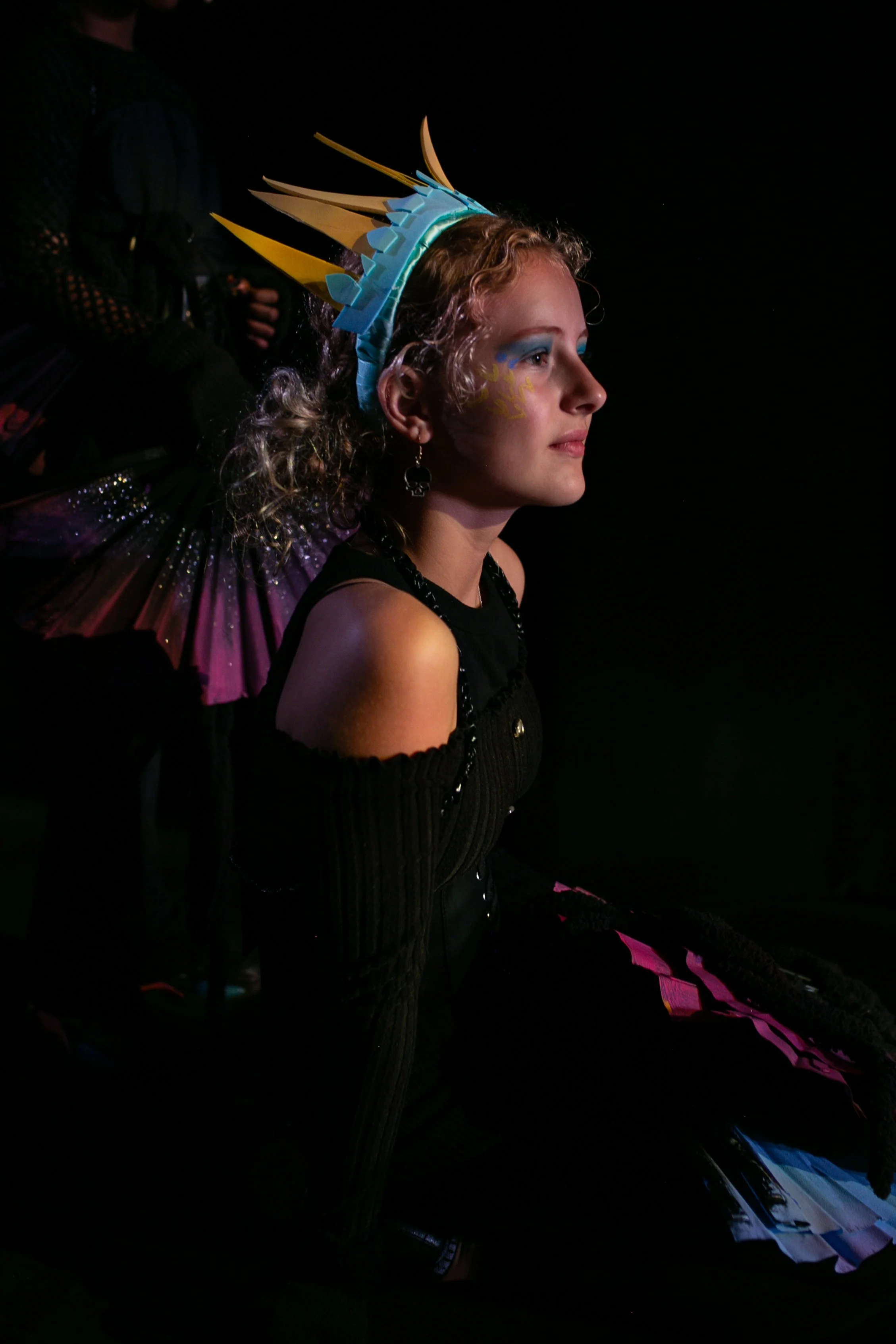 annarobersondesign.com-TPAC-How to Train Your Dragon 2026-000302.jpg