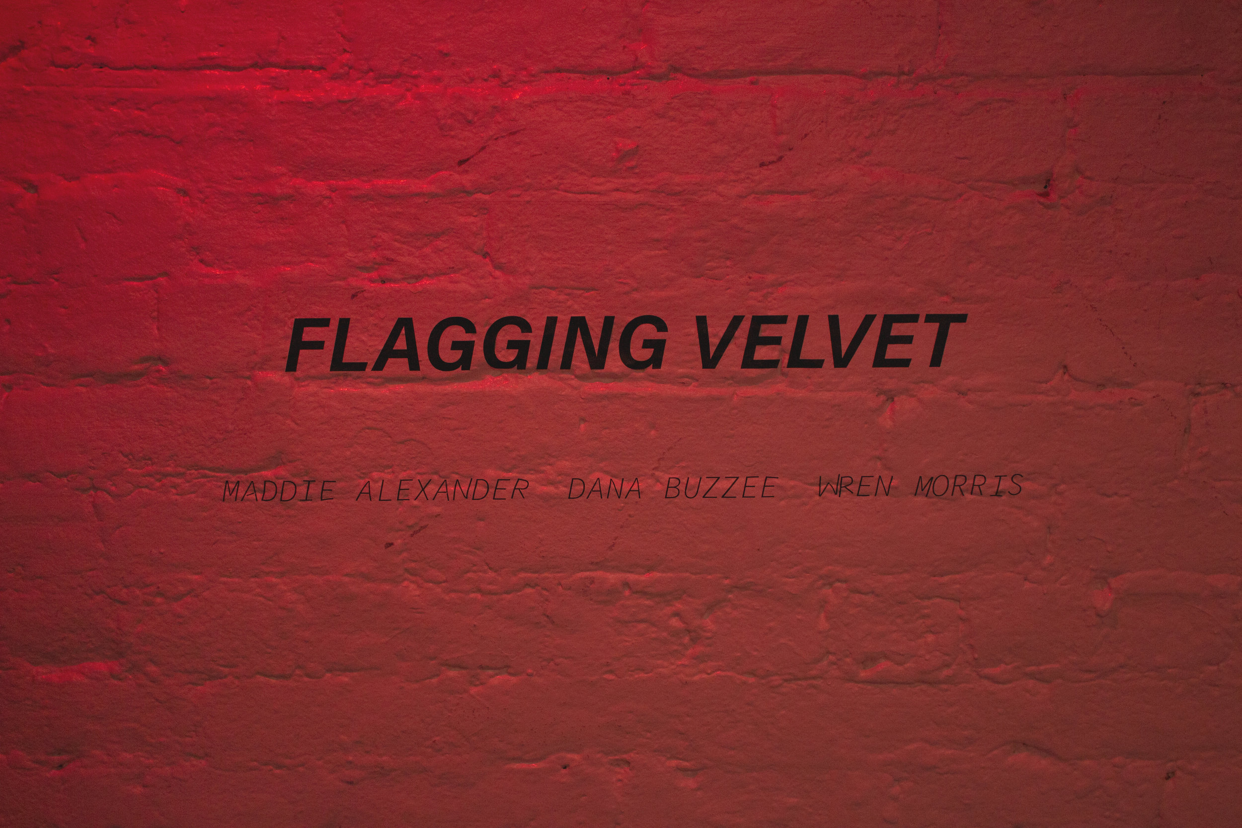 FLAGGING VELVET: VOYEUR, TO PUT ON A SHOW Maddie Alexander, Dana Buzzee, Wren Morris Anna Leonowens Gallery, July 23rd-27th, 2019 Documentation by : Wren Morris + Brody Weaver Flagging Velvet brings together artists Maddie Alexander, Dana Buzzee, and Wren Morris. Collectively, the works that build Flagging Velvet offer documents of queer sexualities and desires which reclaim context and space from a conventional hetero gaze. Through a multidisciplinary approach Alexander, Buzzee, and Morris create community-based pornographies that seek to honour historical leather dyke culture, while contributing to its contemporary current, offering audiences a view of self-determined representation of queer + trans sex and empowered BDSM play. Queer liberation has always been linked to the policing of our bodies and sexuality in efforts to make our existence illegal. In this way, it is impossible to detach conversations around sex or sexuality from queer liberation. Access to queer and trans sexual education can quite literally be a lifesaving measure for 2SLGBTQIA+ youth. These conversations are a critical action in healing the long history of violence against our community, and opening space to consider the harmful ideals compuslorary cis heterocentrism has instilled within us. Alexander, Buzzee, and Morris’ work within Flagging Velvet are bond to a rich political history of queer sexual liberation. The Anna, from July 23rd - July 27th (2019), is a gallery transformed to hold sex-positive, active, informed, consenting, reclaiming, and empowered pornographies that celebrate the queer deviant perverts. By presenting art focused on community-based and first-hand narratives around queer + trans sexuality, Flagging Velvet finds itself honouring the stories of our lived experiences and those of the generations that fucked before us.