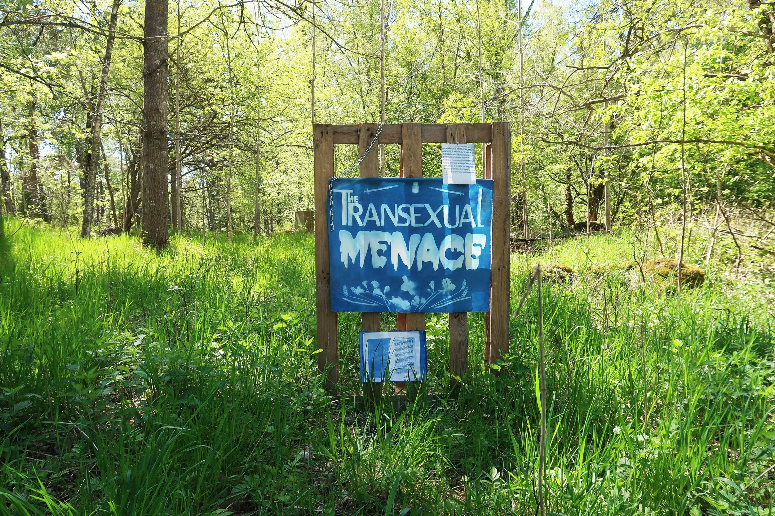  Cyanotype on Cotton Fabric, 5 ft x 4 ft. Cyanotype on Arches, 5” x 5”. Cyanotype on Arches, 8” x 11”. 