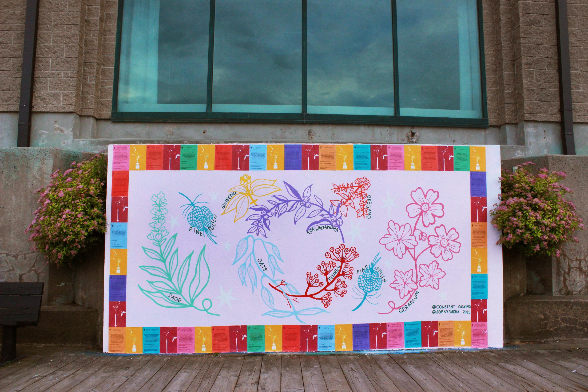A Garden of Our Own , 2025 Maddie Alexander + Sacha Stephan Halifax Mural Fest, Halifax NS 15 ft x 8 ft, Wheatpaste and Acrylic Paint. Bringing together different plant life that are known to support herbal approaches to HRT, A Garden of Our O