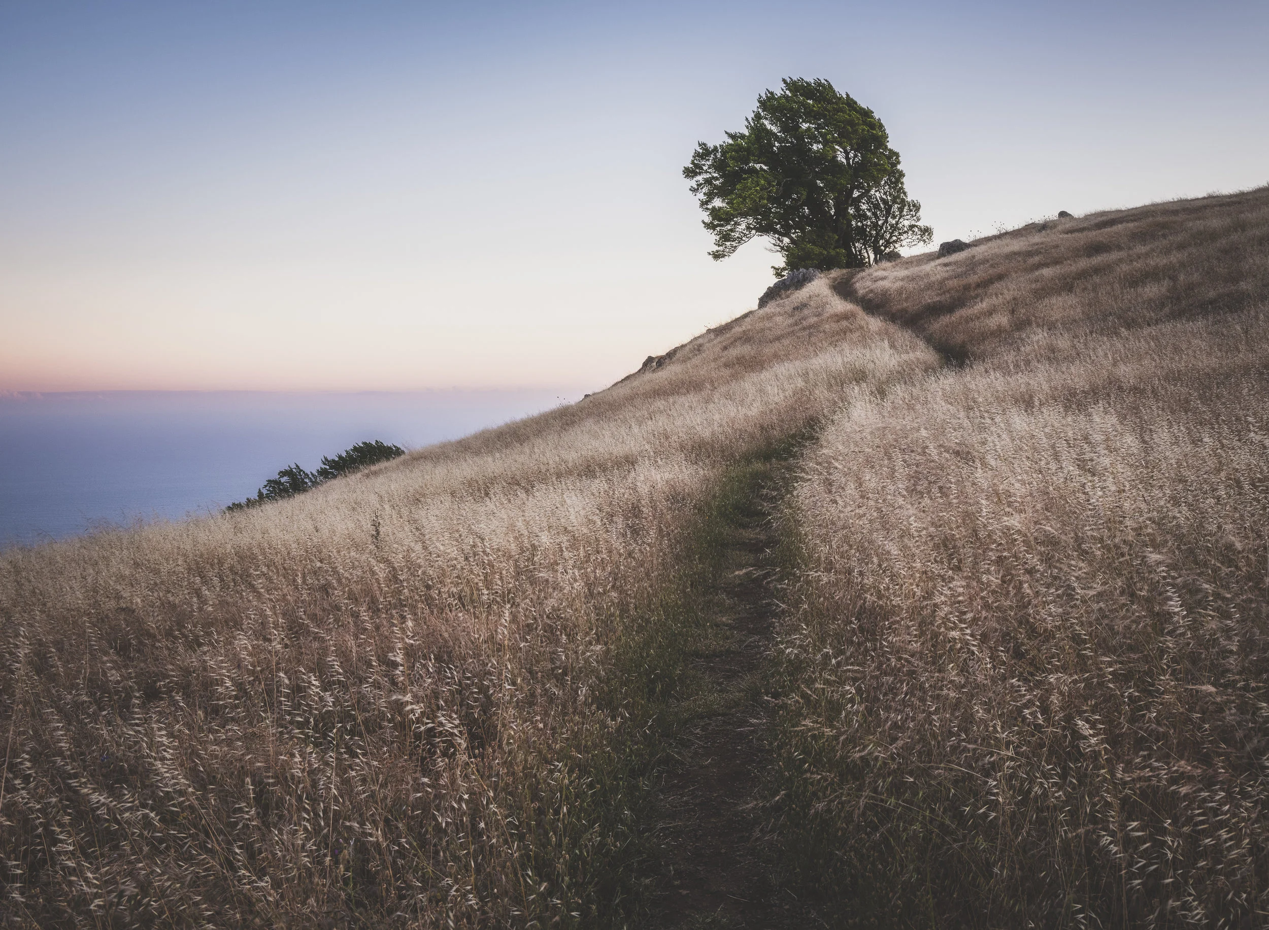 Mount Tamalpais, California