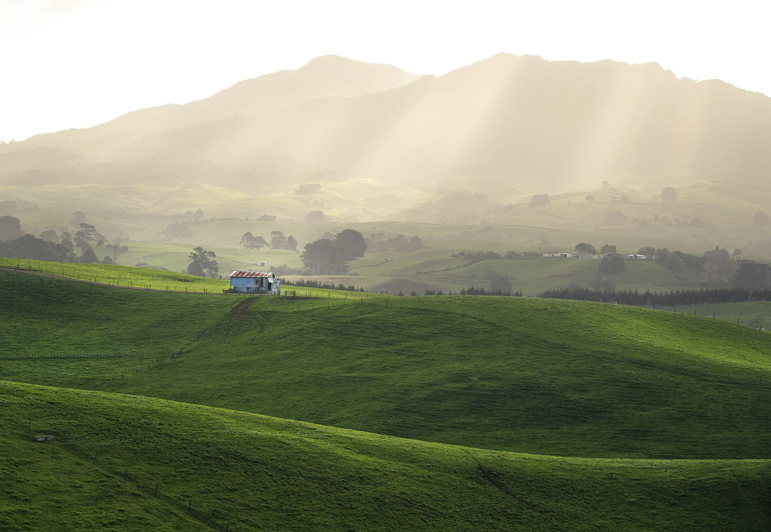 Ragland, New Zealand