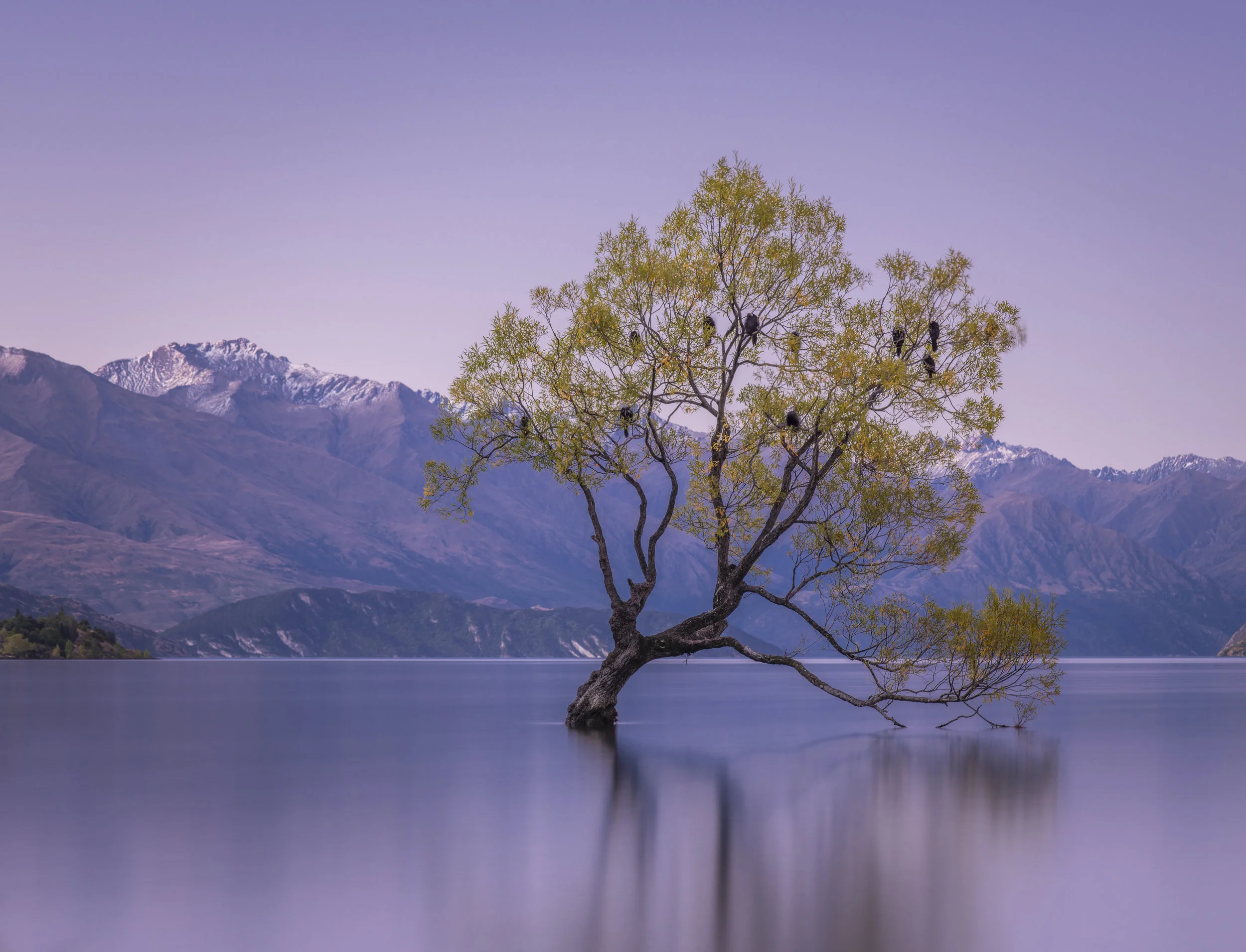 Lake Wanaka, New Zealand