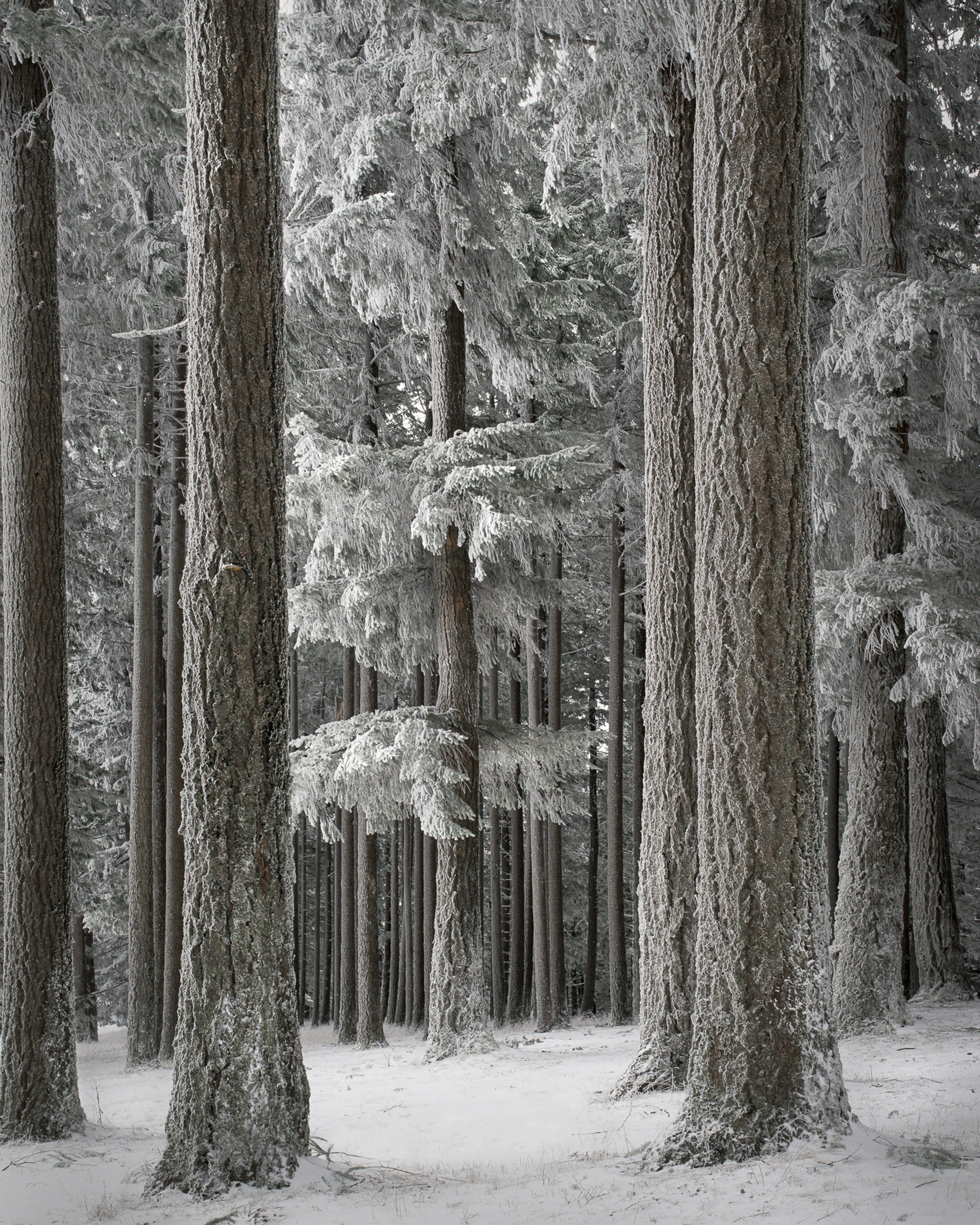 Bald Peak Park, Oregon