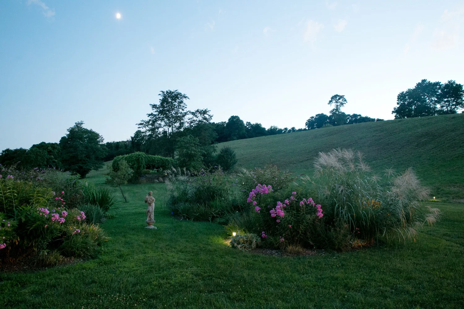 Red_Maple_Vineyard_23.jpg