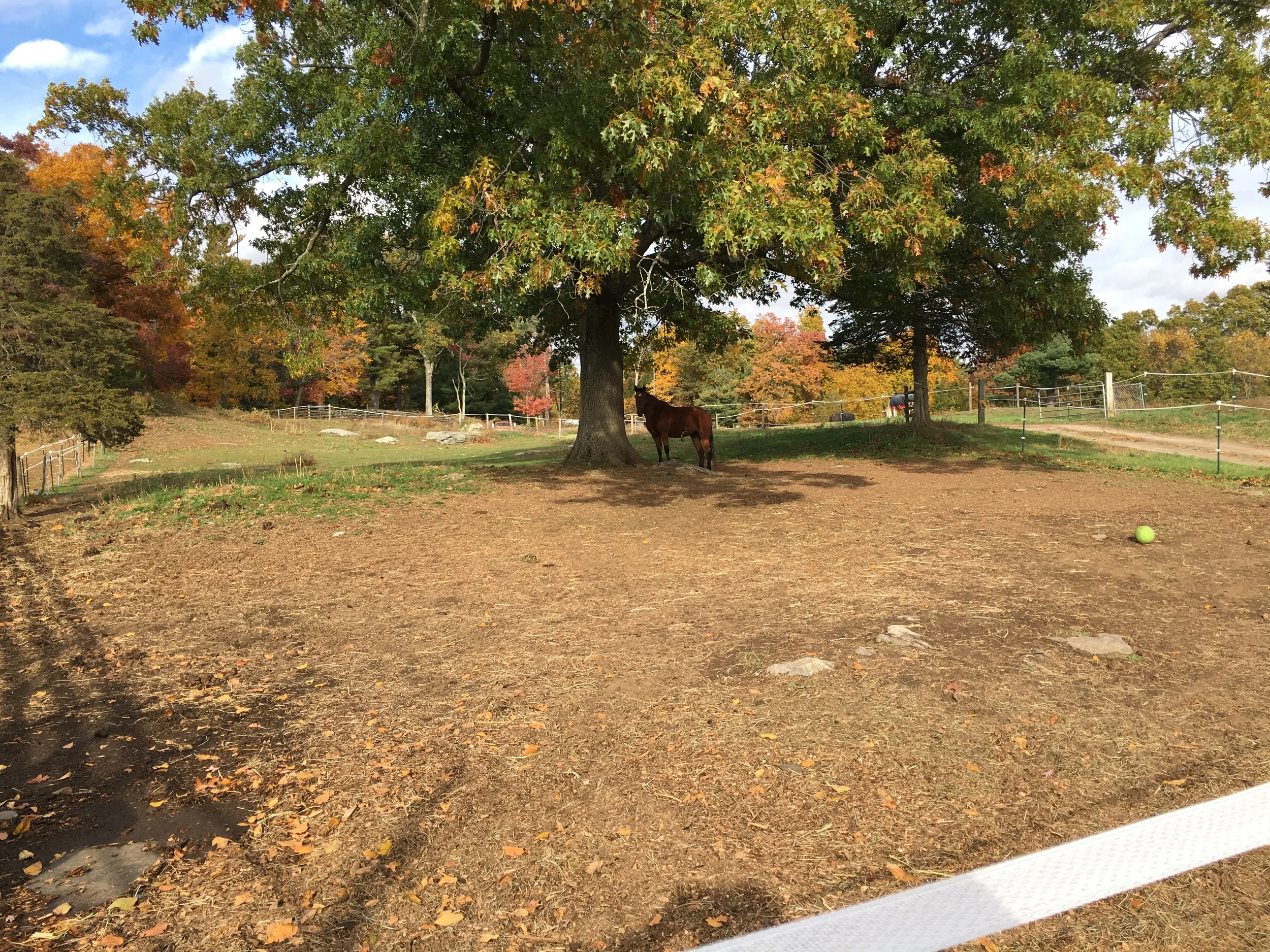 2015-10-25 15.03.09.jpg