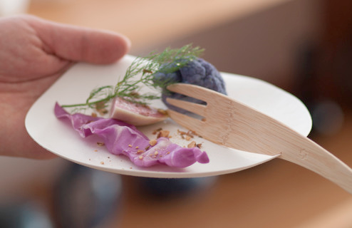 Earth-Friendly Biodegradable, compostable and made from 100% tree-free materials, WASARA is as good to the earth as it is to your culinary creations.