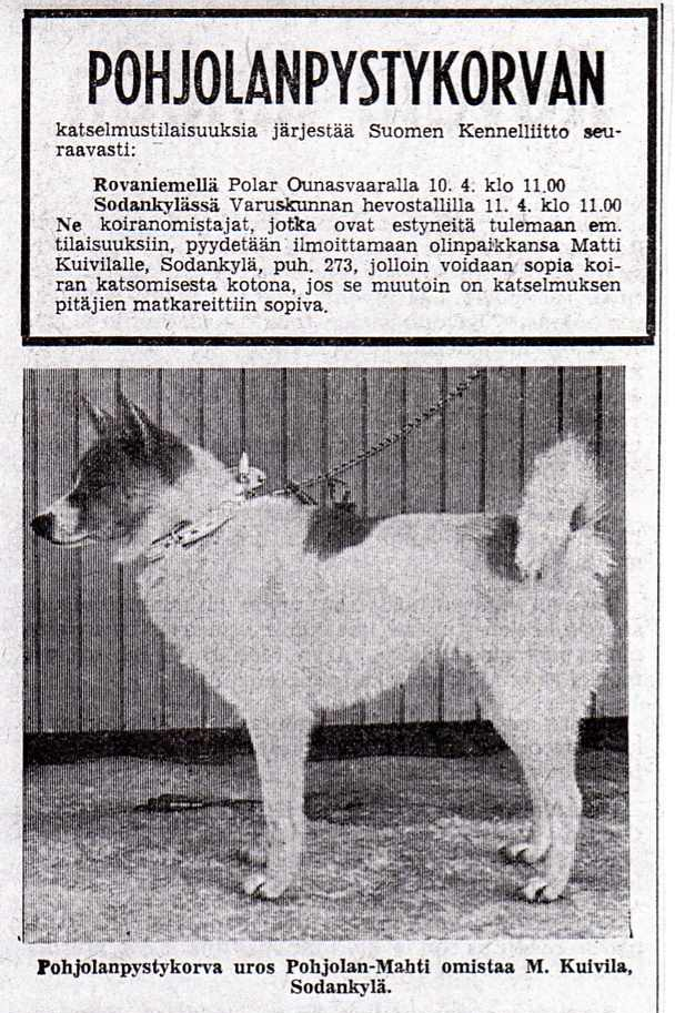 Newspaper ad. Courtesy of Traditional Spitz Association.