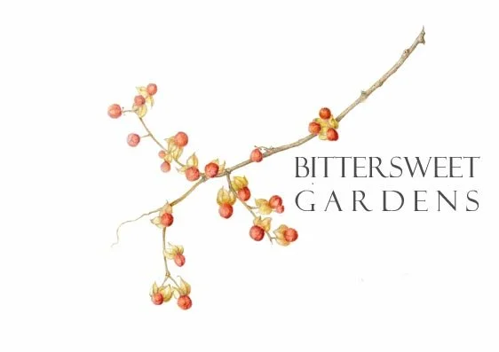 Bittersweet logo.jpg