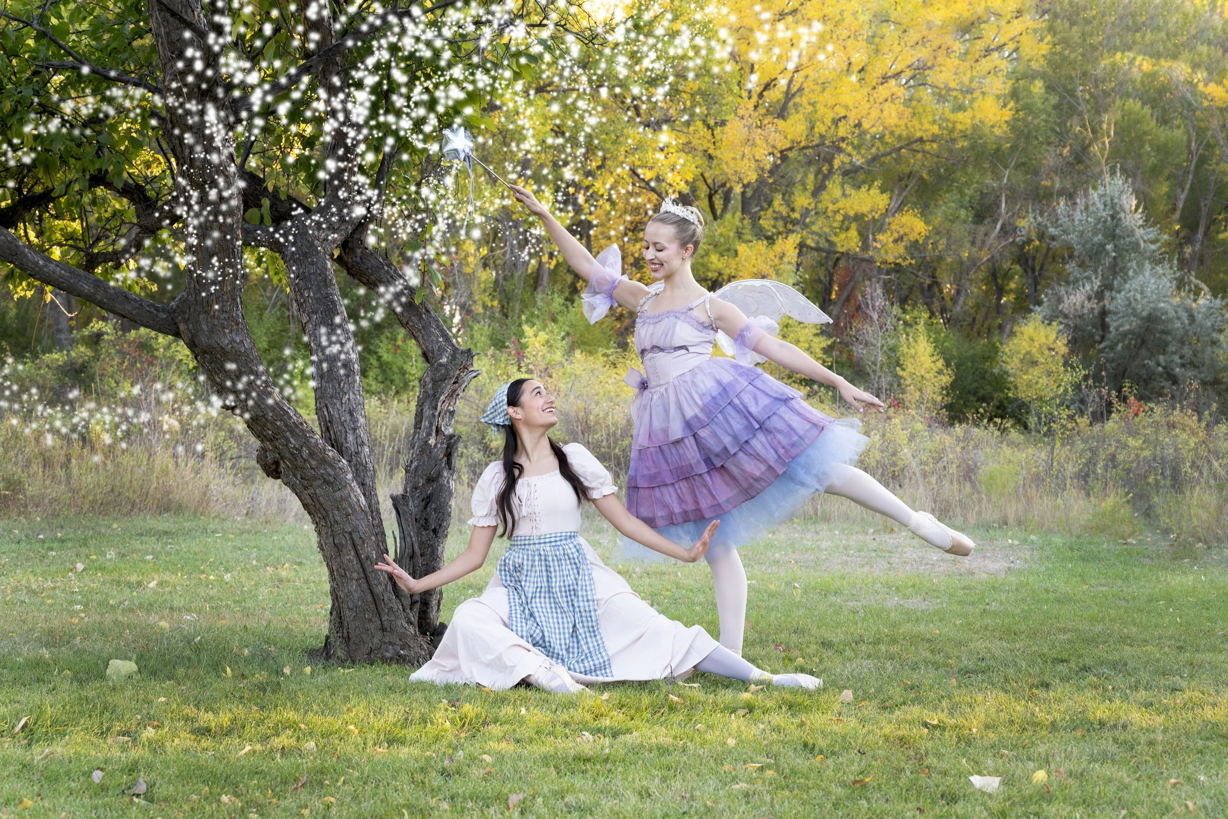 Billings Ballet Company's "Cinderella"