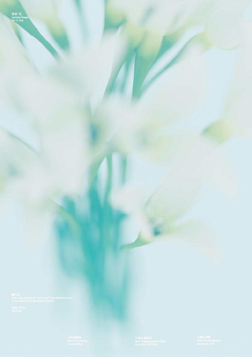 2jasmine_2_3D.png