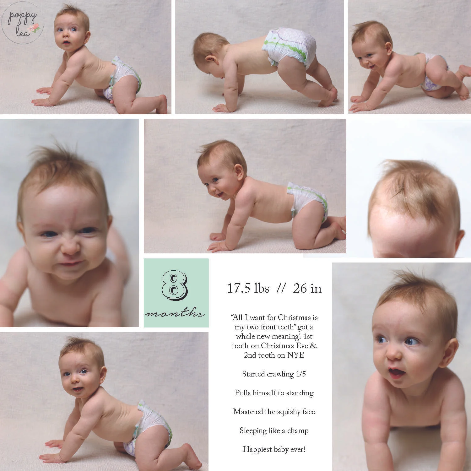 Hudson's 8 Month Mini Milestone Session
