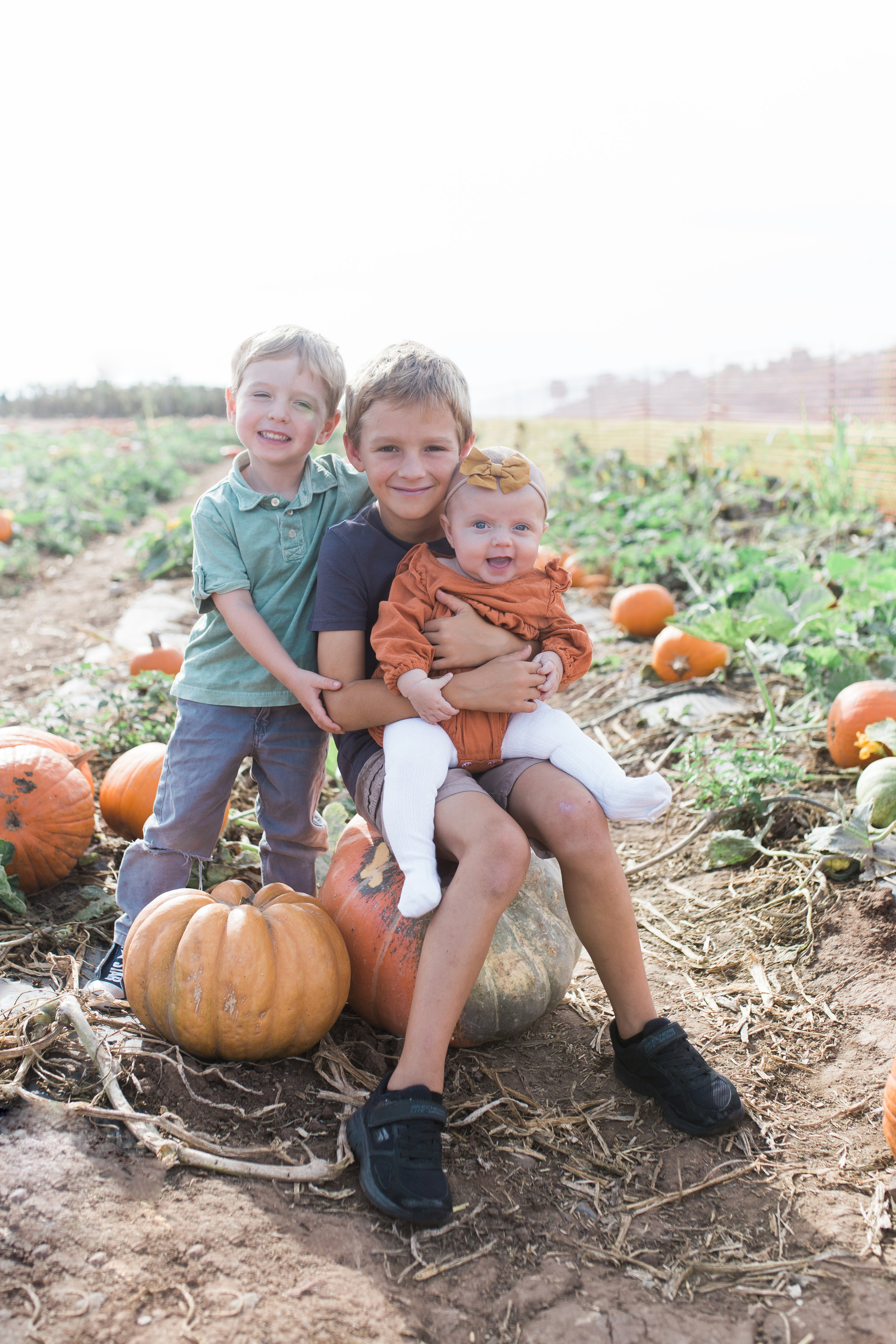 Pumpkin Patch Herzog 2018-1.jpg