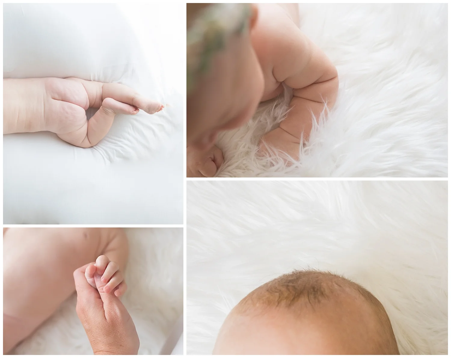 Poppy 3 Month.jpg