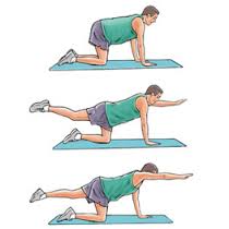 The qudraped series of exercises is one progression of low back spinal stability.