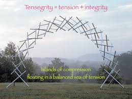 Tensegrity models can be quite extravagant and near impossible to imagine how they maintain they're shape.