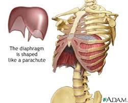 Many people with acid reflux (heart burn) find relief with rehabbing their breathing pattern.