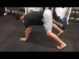 Although this is not a push position (The bear stance) You can see the similarities in the shoulders: hands straight and flat, fingers spread, shoulders and back flat, neck in a neutral position. an overall good stable stance to do some pushups.