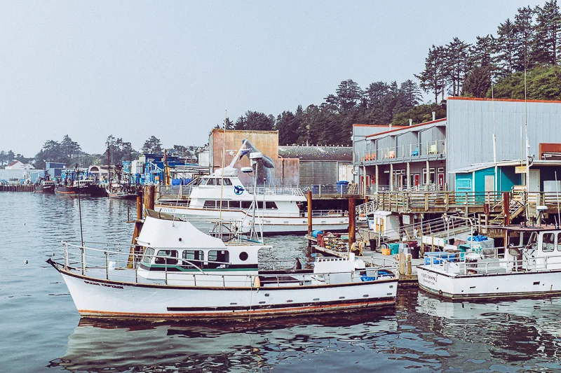 Newport_Bandon_USA-3.jpg