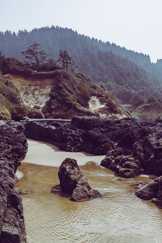 Newport_Bandon_USA-27.jpg