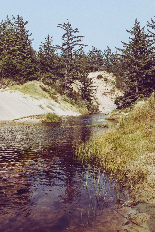 Newport_Bandon_USA-42.jpg