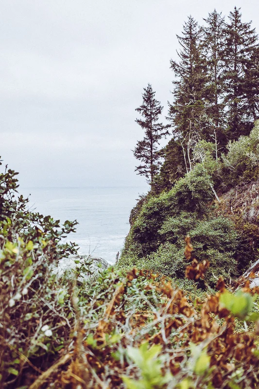 Patricks Point_USA-10.jpg
