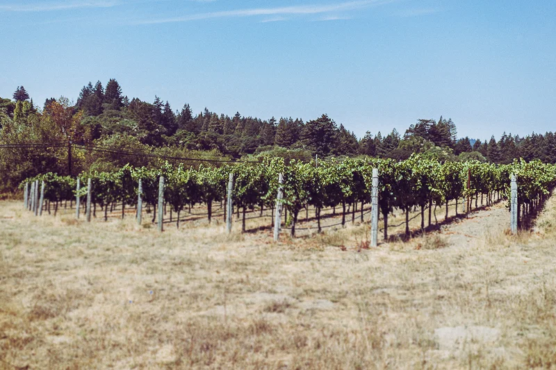 Mendocino County_USA-10.jpg