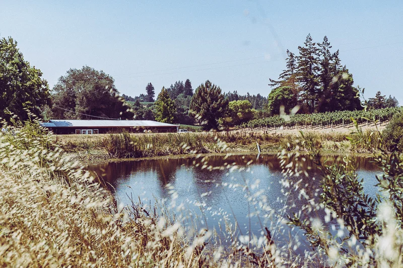 Mendocino County_USA-16.jpg